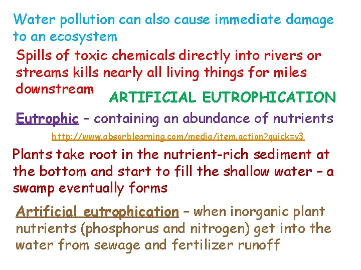 Water pollution can also cause immediate damage to an ecosystem Spills of toxic chemicals