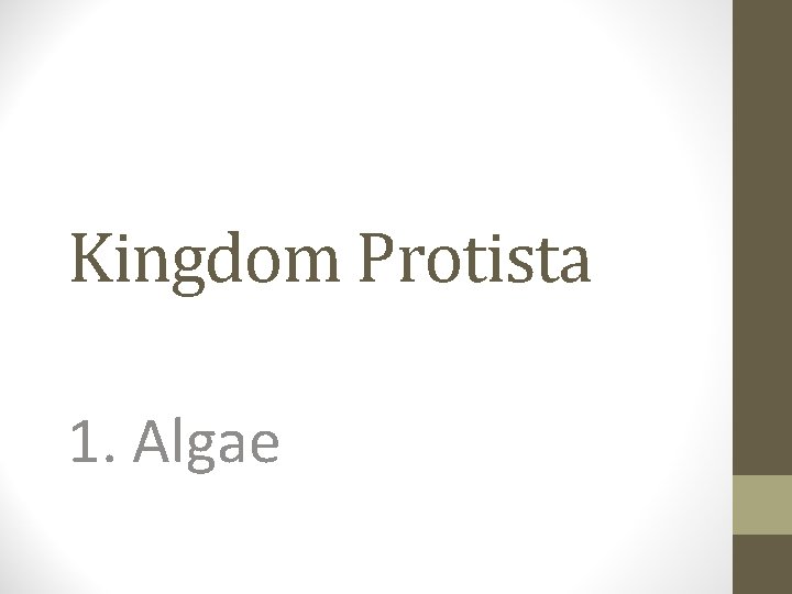 Kingdom Protista 1. Algae 