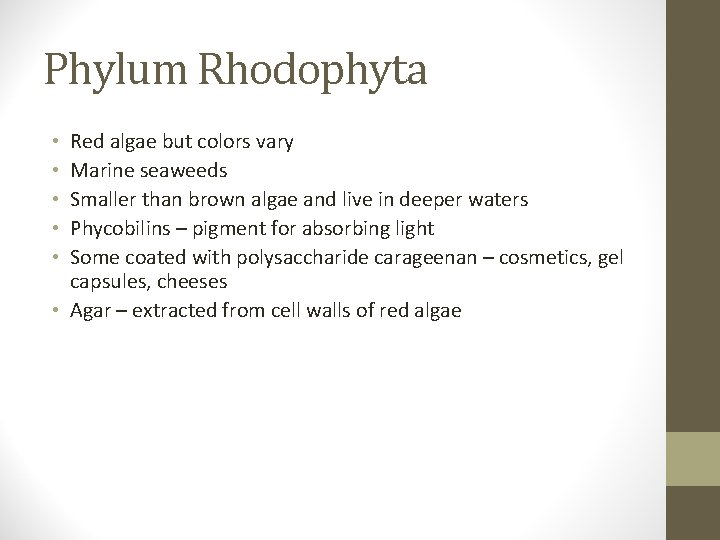 Phylum Rhodophyta Red algae but colors vary Marine seaweeds Smaller than brown algae and