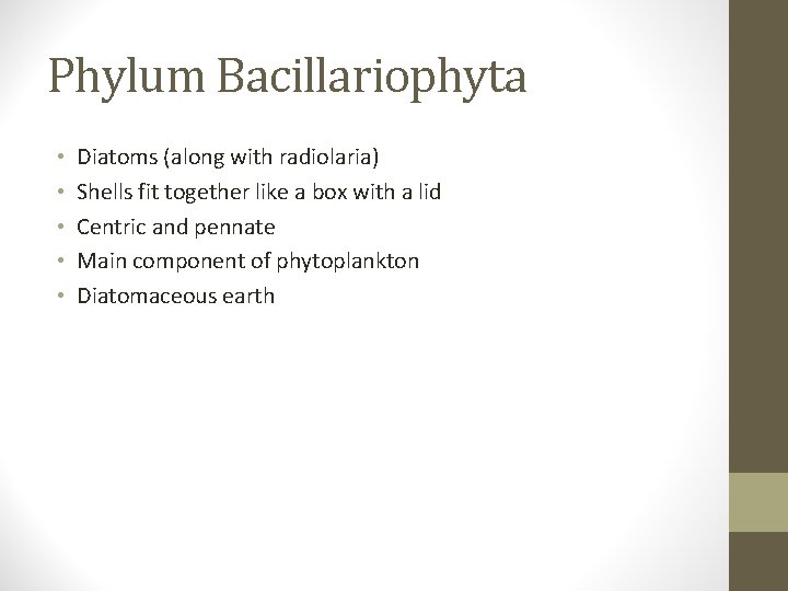 Phylum Bacillariophyta • • • Diatoms (along with radiolaria) Shells fit together like a