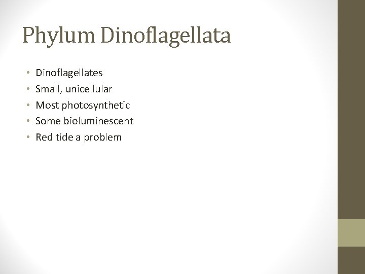 Phylum Dinoflagellata • • • Dinoflagellates Small, unicellular Most photosynthetic Some bioluminescent Red tide