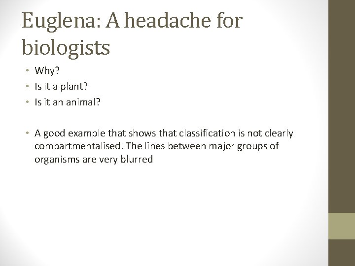 Euglena: A headache for biologists • Why? • Is it a plant? • Is