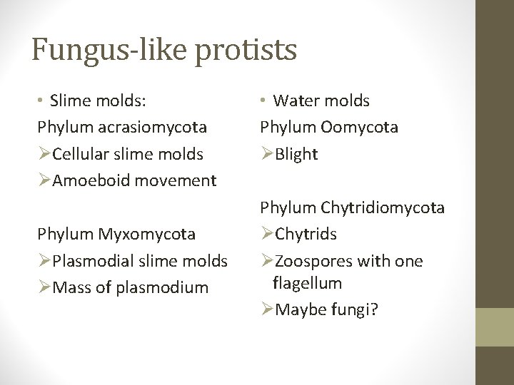 Fungus-like protists • Slime molds: Phylum acrasiomycota ØCellular slime molds ØAmoeboid movement Phylum Myxomycota