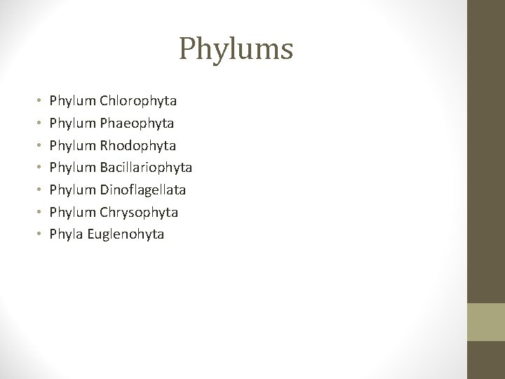 Phylums • • Phylum Chlorophyta Phylum Phaeophyta Phylum Rhodophyta Phylum Bacillariophyta Phylum Dinoflagellata Phylum