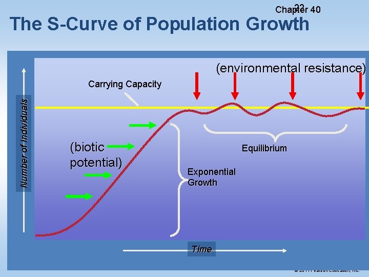 22 40 Chapter The S-Curve of Population Growth (environmental resistance) Number of Individuals Carrying