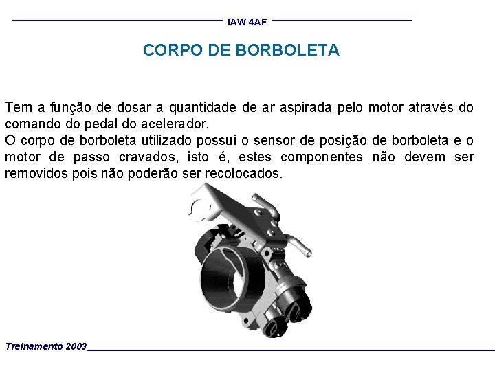 IAW 4 AF CORPO DE BORBOLETA Tem a função de dosar a quantidade de