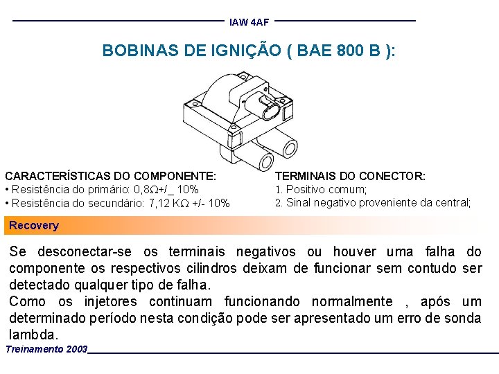 IAW 4 AF BOBINAS DE IGNIÇÃO ( BAE 800 B ): CARACTERÍSTICAS DO COMPONENTE: