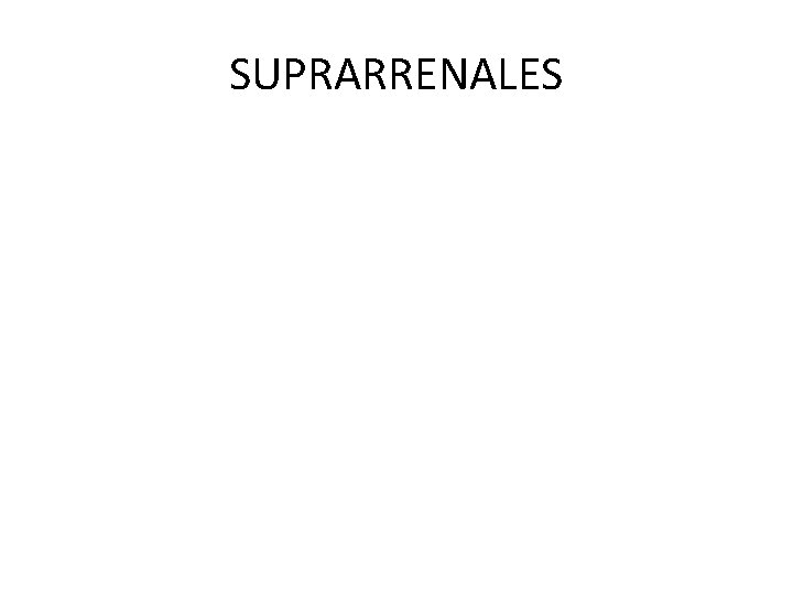 SUPRARRENALES 