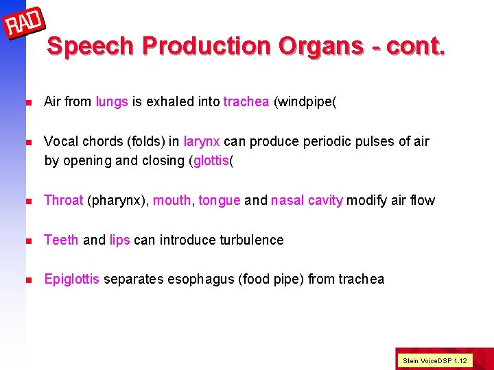 Speech Production Organs - cont. n Air from lungs is exhaled into trachea (windpipe(