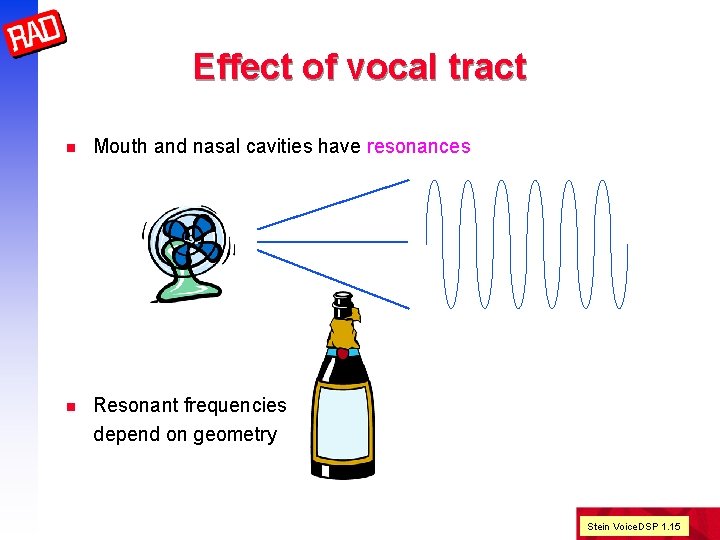 Effect of vocal tract n Mouth and nasal cavities have resonances n Resonant frequencies