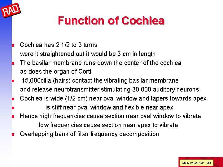 Function of Cochlea n n n n Cochlea has 2 1/2 to 3 turns