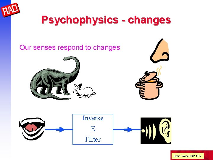 Psychophysics - changes Our senses respond to changes Inverse E Filter Stein Voice. DSP