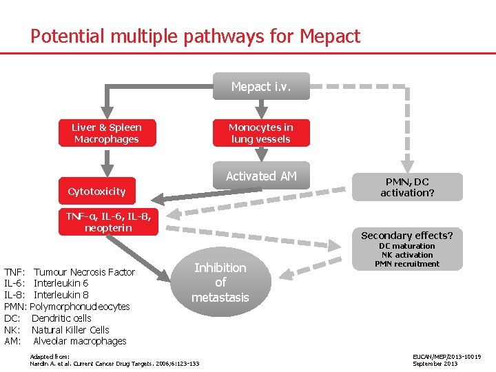 Potential multiple pathways for Mepact i. v. Liver & Spleen Macrophages Monocytes in lung