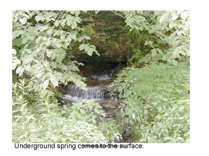 www. assignmentpoint. com Underground spring comes to the surface. 
