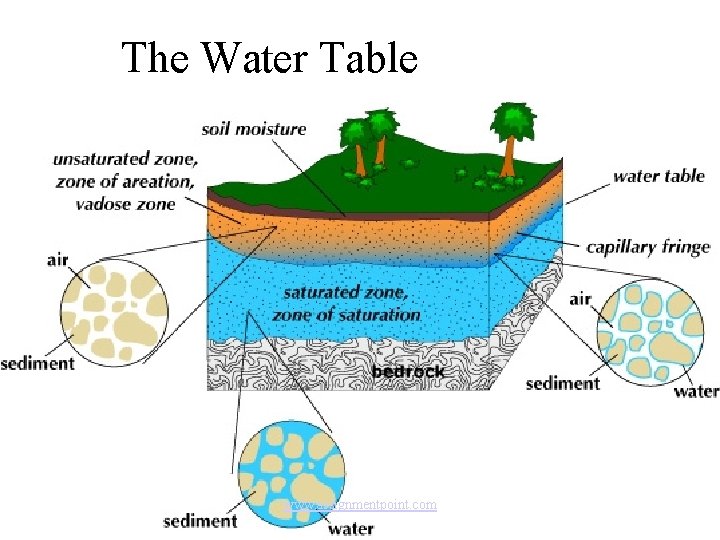 The Water Table www. assignmentpoint. com 