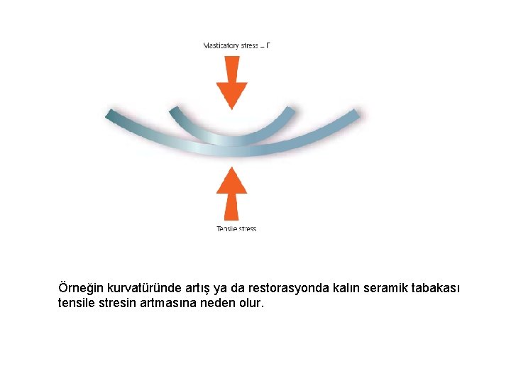 Örneğin kurvatüründe artış ya da restorasyonda kalın seramik tabakası tensile stresin artmasına neden olur.