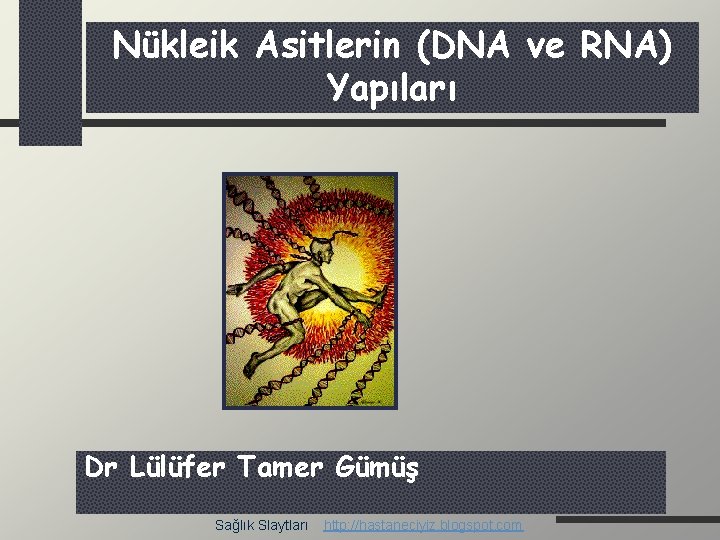 Nükleik Asitlerin (DNA ve RNA) Yapıları Dr Lülüfer Tamer Gümüş Sağlık Slaytları http: //hastaneciyiz.