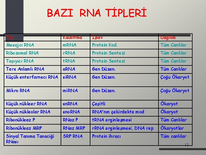 BAZI RNA TİPLERİ Tip Kısalltma İşlev Dağılım Mesajcı RNA m. RNA Protein Kod. Tüm