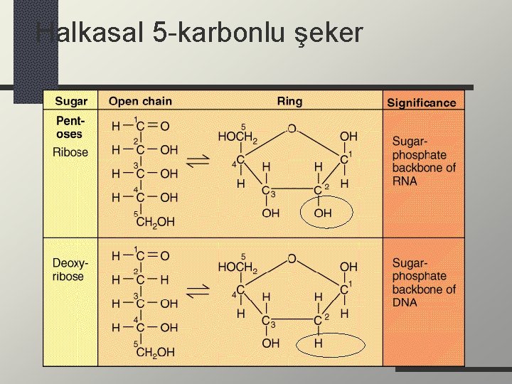 Halkasal 5 -karbonlu şeker 