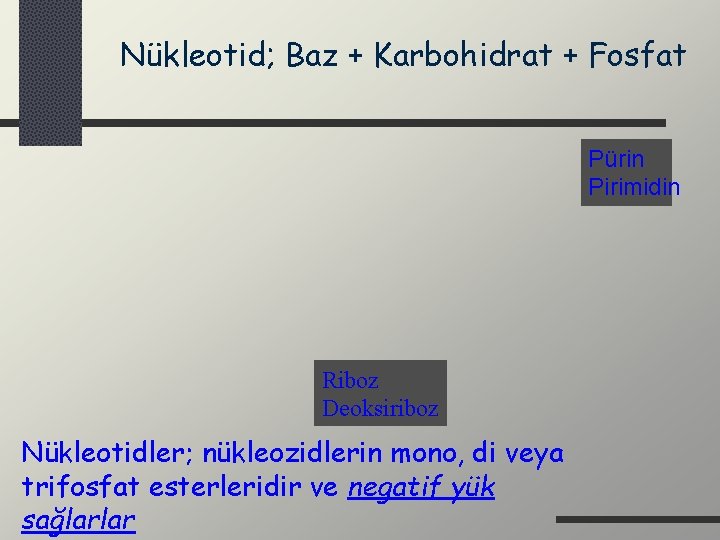 Nükleotid; Baz + Karbohidrat + Fosfat Pürin Pirimidin Riboz Deoksiriboz Nükleotidler; nükleozidlerin mono, di