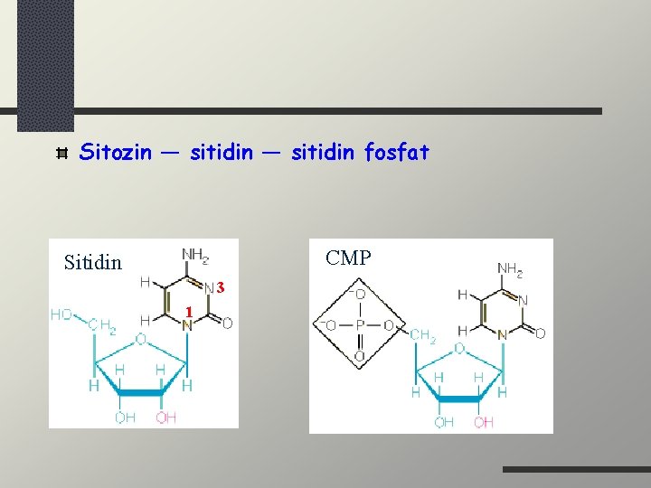 Sitozin — sitidin fosfat CMP Sitidin 3 1 