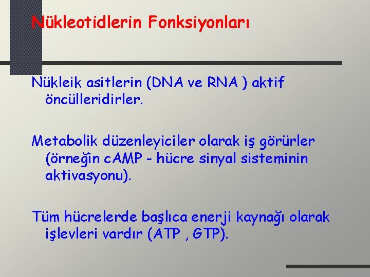 Nükleotidlerin Fonksiyonları Nükleik asitlerin (DNA ve RNA ) aktif öncülleridirler. Metabolik düzenleyiciler olarak iş