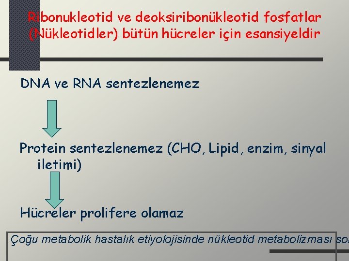 Ribonukleotid ve deoksiribonükleotid fosfatlar (Nükleotidler) bütün hücreler için esansiyeldir DNA ve RNA sentezlenemez Protein