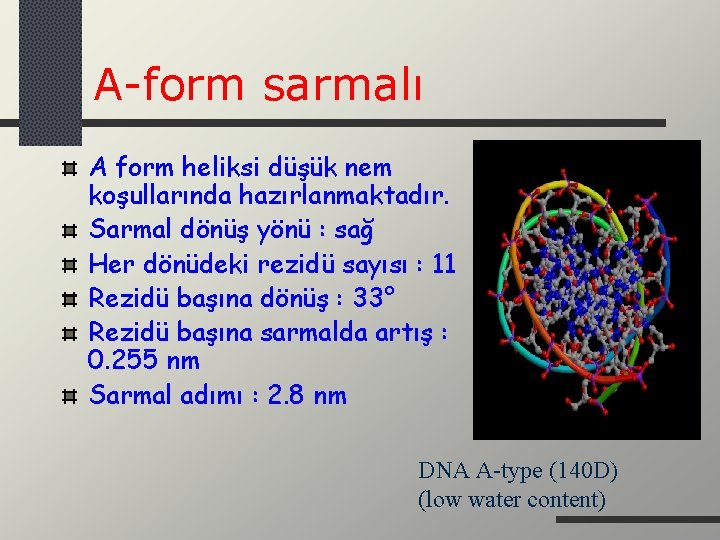 A-form sarmalı A form heliksi düşük nem koşullarında hazırlanmaktadır. Sarmal dönüş yönü : sağ