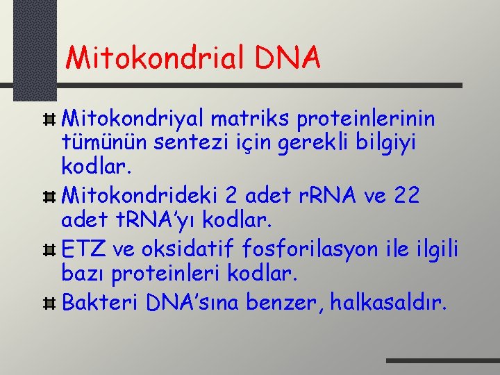 Mitokondrial DNA Mitokondriyal matriks proteinlerinin tümünün sentezi için gerekli bilgiyi kodlar. Mitokondrideki 2 adet