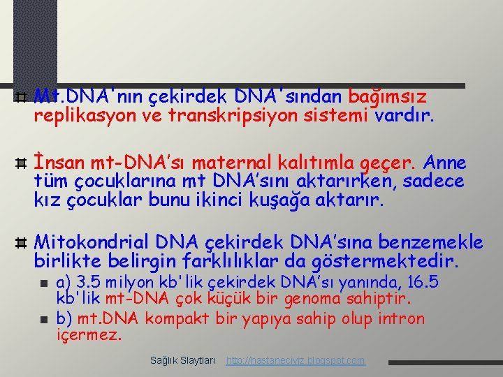 Mt. DNA'nın çekirdek DNA'sından bağımsız replikasyon ve transkripsiyon sistemi vardır. İnsan mt-DNA’sı maternal kalıtımla