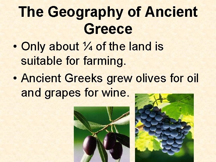 The Geography of Ancient Greece • Only about ¼ of the land is suitable