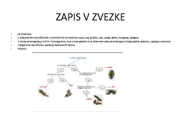 ZAPIS V ZVEZKE • • • SISTEMATIKA 1. ORGANIZME RAZVRŠČAMO V SISTEMATSKE KATEGORIJE: vrsta,