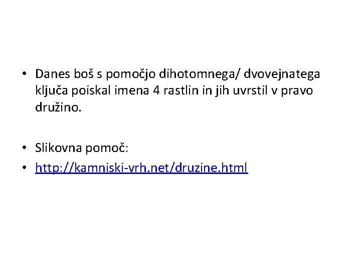 • Danes boš s pomočjo dihotomnega/ dvovejnatega ključa poiskal imena 4 rastlin in • Danes boš s pomočjo dihotomnega/ dvovejnatega ključa poiskal imena 4 rastlin in