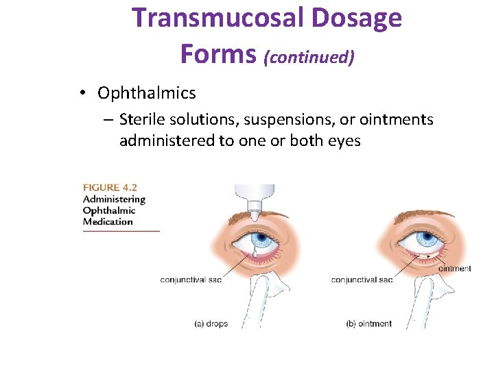 Transmucosal Dosage Forms (continued) • Ophthalmics – Sterile solutions, suspensions, or ointments administered to