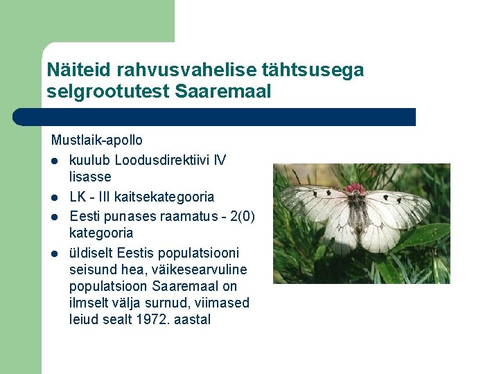 Näiteid rahvusvahelise tähtsusega selgrootutest Saaremaal Mustlaik-apollo l kuulub Loodusdirektiivi IV lisasse l LK -