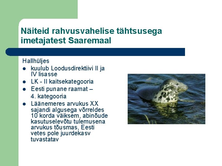Näiteid rahvusvahelise tähtsusega imetajatest Saaremaal Hallhüljes l kuulub Loodusdirektiivi II ja IV lisasse l
