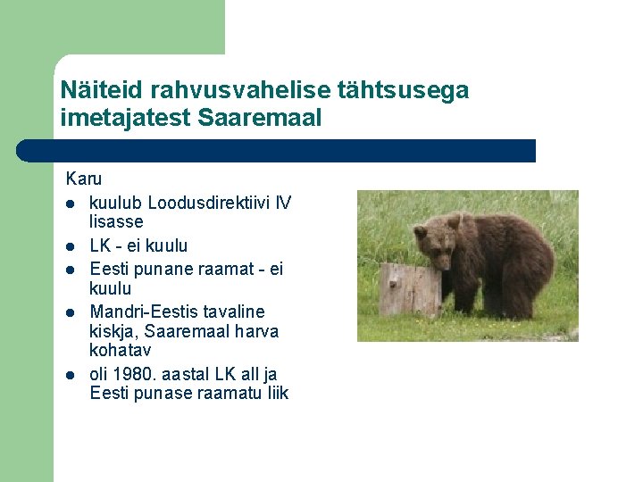 Näiteid rahvusvahelise tähtsusega imetajatest Saaremaal Karu l kuulub Loodusdirektiivi IV lisasse l LK -