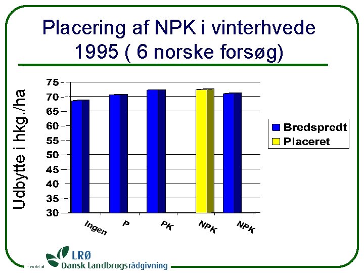 Udbytte i hkg. /ha Placering af NPK i vinterhvede 1995 ( 6 norske forsøg)