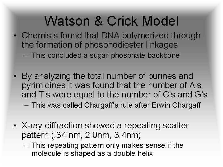 Watson & Crick Model • Chemists found that DNA polymerized through the formation of