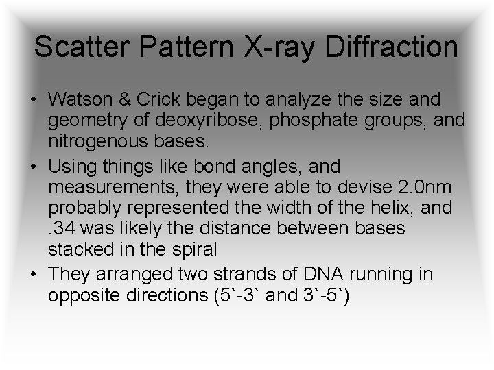 Scatter Pattern X-ray Diffraction • Watson & Crick began to analyze the size and
