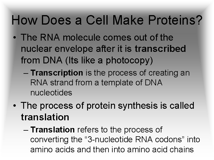 How Does a Cell Make Proteins? • The RNA molecule comes out of the