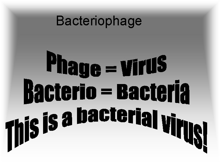 Bacteriophage 