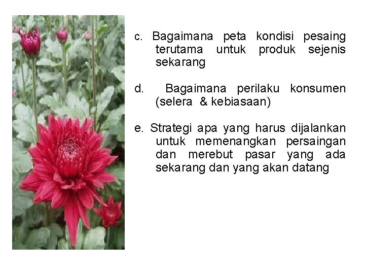 c. Bagaimana peta kondisi pesaing terutama untuk sekarang d. produk sejenis Bagaimana perilaku konsumen