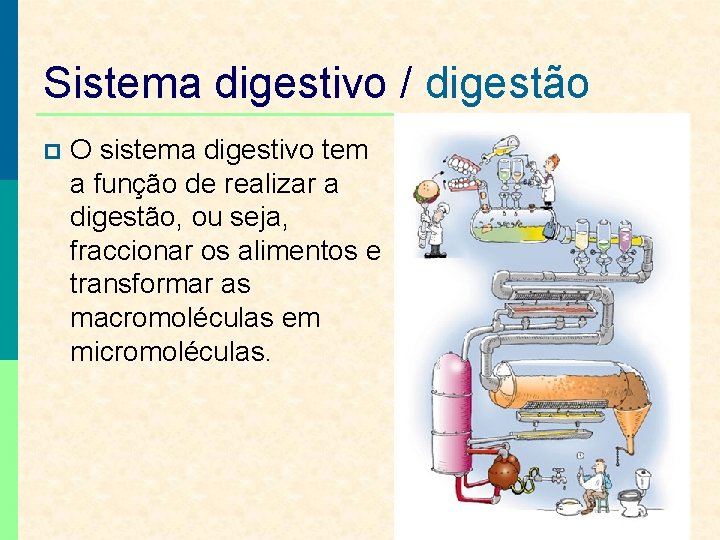 Sistema digestivo / digestão p O sistema digestivo tem a função de realizar a