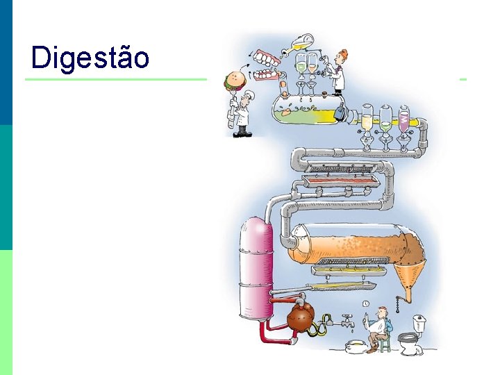 Digestão 
