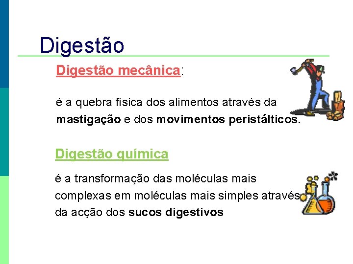 Digestão mecânica: é a quebra física dos alimentos através da mastigação e dos movimentos