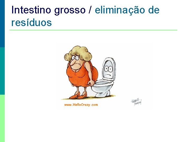 Intestino grosso / eliminação de resíduos 