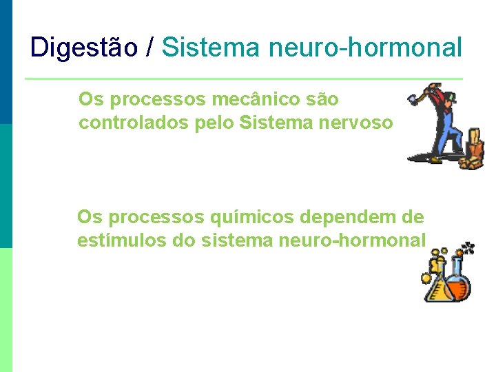 Digestão / Sistema neuro-hormonal Os processos mecânico são controlados pelo Sistema nervoso Os processos