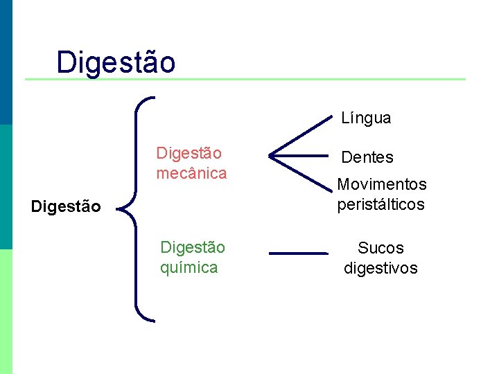 Digestão Língua Digestão mecânica Digestão química Dentes Movimentos peristálticos Sucos digestivos 