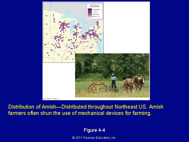 Distribution of Amish—Distributed throughout Northeast US. Amish farmers often shun the use of mechanical